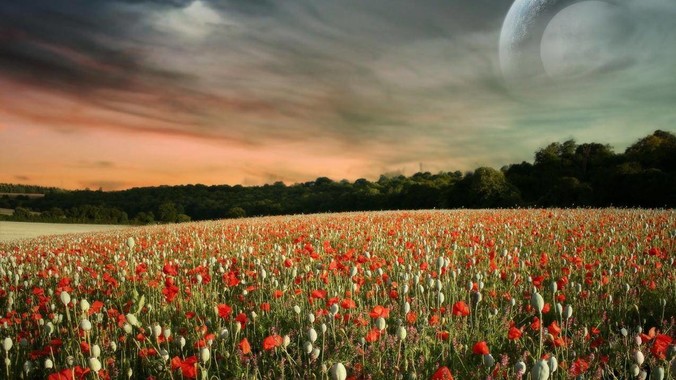 想知道德普怎么看上艾梅柏&middot;希尔德的？